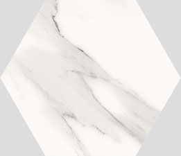 JS23001